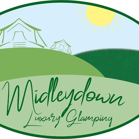埃克塞特 Midleydown Luxury Glamping酒店 外观 照片