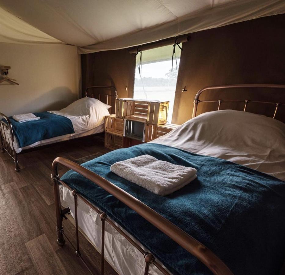 埃克塞特 Midleydown Luxury Glamping酒店 外观 照片